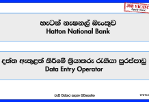 data-entry-operator-hnb