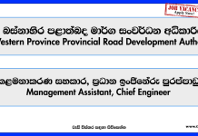 management-assistant-chief-engineer-western-province-provincial-road-development-authority-vacancies-2025