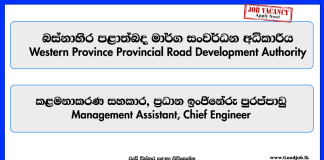 management-assistant-chief-engineer-western-province-provincial-road-development-authority-vacancies-2025