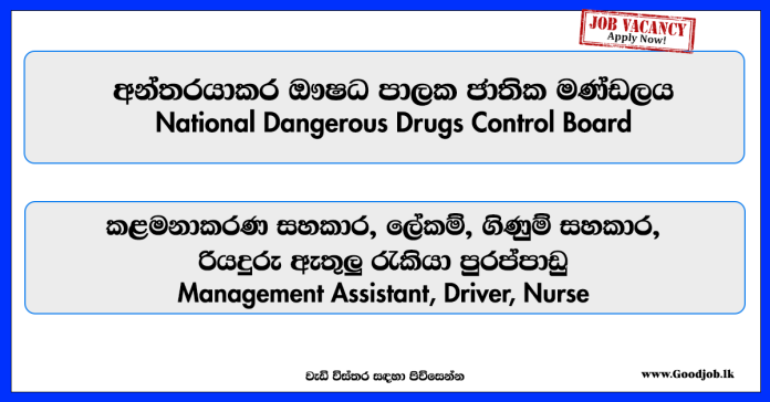management-assistant-driver-nurse-national-dangerous-drugs-control-board