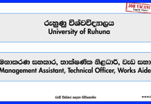 management-assistant-technical-officer-works-aide-university-of-ruhuna