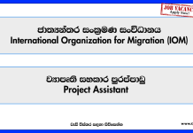 project-assistant-international-organization-for-migration-iom-