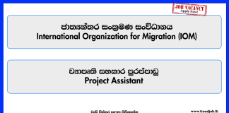 project-assistant-international-organization-for-migration-iom-