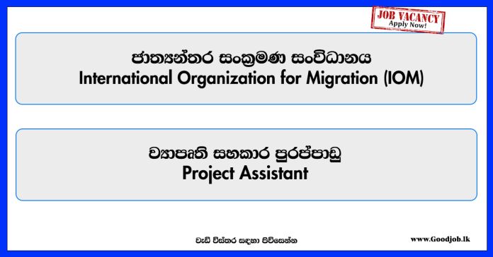 project-assistant-international-organization-for-migration-iom-