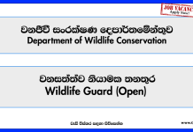 Wildlife Guard (Open) – Department of Wildlife Conservation Job Vacancies 2025 wildlife-guard-open-department-of-wildlife-conservation