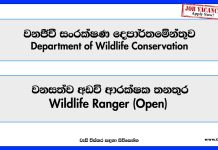 Wildlife Ranger (Open) – Department of Wildlife Conservation Vacancies 2025 wildlife-ranger-open