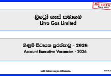 accounts-executive-litro-gas-limited-job-vacancies-2026