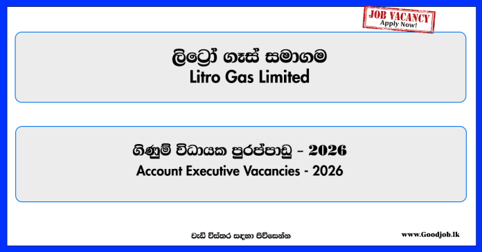 accounts-executive-litro-gas-limited-job-vacancies-2026