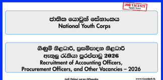 accounts-officer-procurement-officer-instructor-assistant-director-national-youth-corps