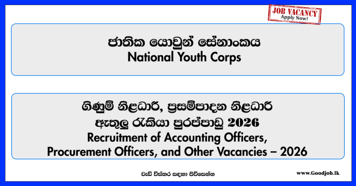 accounts-officer-procurement-officer-instructor-assistant-director-national-youth-corps accounts-officer-procurement-officer-instructor-assistant-director-national-youth-corps