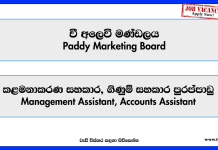 management-assistant-accounts-assistant-paddy-marketing-board-vacancies-2026