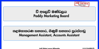 management-assistant-accounts-assistant-paddy-marketing-board-vacancies-2026