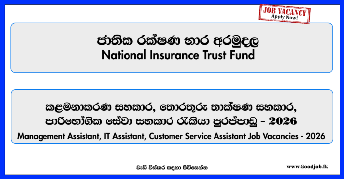 management-assistant-it-assistant-customer-care-assistant-national-insurance-trust-fund-