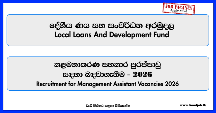 management-assistant-local-loans-and-development-fund