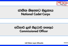 Commissioned Officer- National Cadet Corps Vacancies 2026 national-cadet-corps-commissioned-officer