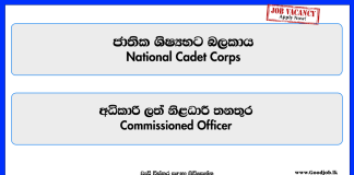 national-cadet-corps-commissioned-officer