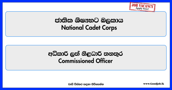 national-cadet-corps-commissioned-officer