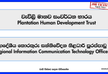 regional-ict-officer-plantation-human-development-trust