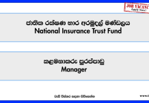 manager-national-insurance-trust-fund