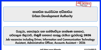 driver-ict-assistant-videographer-technical-officer-administrative-officer-account-assistant-more-vacancies-uda