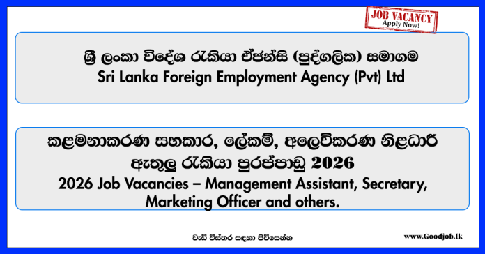management-assistant-secretary-marketing-officer-manager-sri-lanka-foreign-employment-agency-pvt-ltd