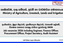 engineer-finance-officer-procurement-officer-secretary-ministry-of-agriculture-livestock-lands-and-irrigation