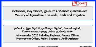 engineer-finance-officer-procurement-officer-secretary-ministry-of-agriculture-livestock-lands-and-irrigation