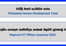 regional-ict-officer-plantation-human-development-trust