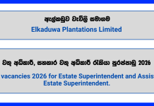 estate-superintendent-assistant-superintendent-elkaduwa-plantations-limited