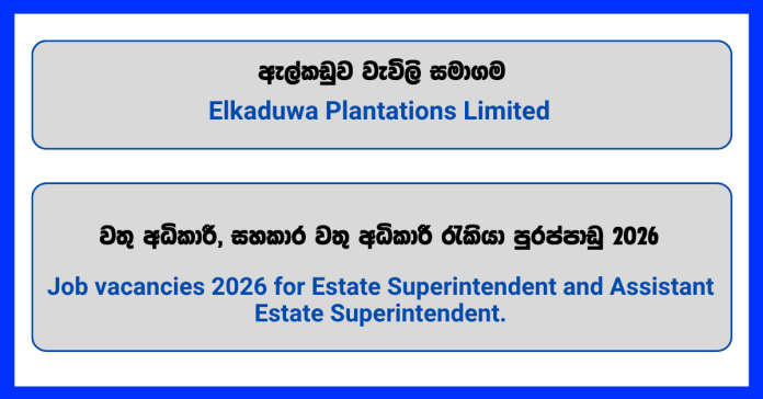estate-superintendent-assistant-superintendent-elkaduwa-plantations-limited