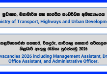 project-staff-for-stsdp-ministry-of-transport-highways-and-urban-development