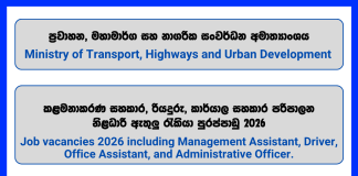 project-staff-for-stsdp-ministry-of-transport-highways-and-urban-development
