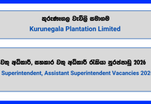 area-superintendent-assistant-superintendent-kurunegala-plantation-limited
