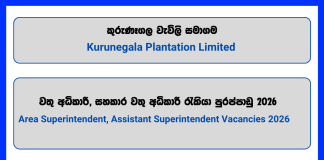 area-superintendent-assistant-superintendent-kurunegala-plantation-limited