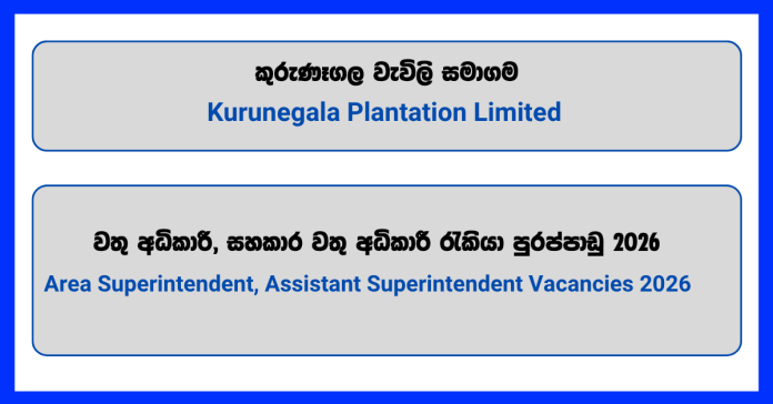 area-superintendent-assistant-superintendent-kurunegala-plantation-limited area-superintendent-assistant-superintendent-kurunegala-plantation-limited