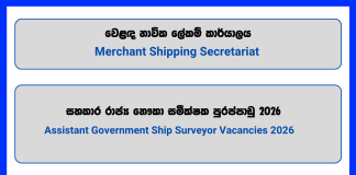 assistant-government-ship-surveyor-merchant-shipping-secretariat