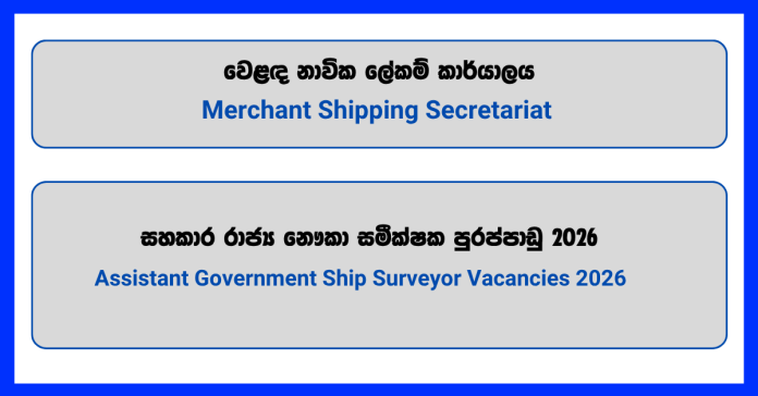 assistant-government-ship-surveyor-merchant-shipping-secretariat