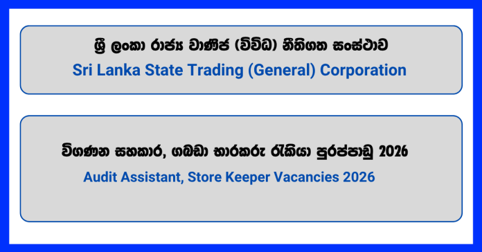 audit-assistant-store-keeper-state-trading-general-corporation