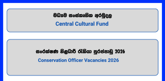 conservation-officer-central-cultural-fund