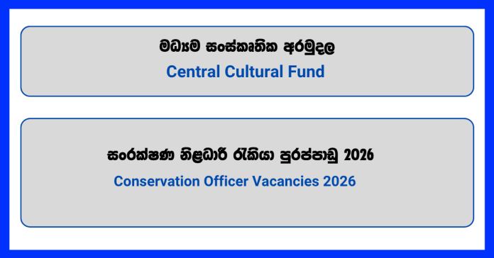 conservation-officer-central-cultural-fund