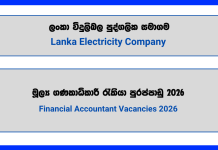 financial-accountant-lanka-electricity-company