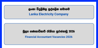 financial-accountant-lanka-electricity-company