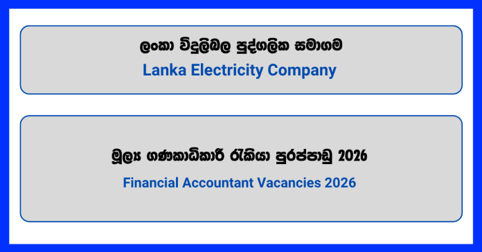 financial-accountant-lanka-electricity-company