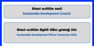 sustainable-development-officer-–-sustainable-development-council