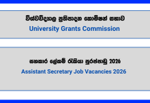 assistant-secretary-university-grants-commission