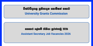 assistant-secretary-university-grants-commission