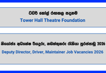deputy-director-driver-maintainer-tower-hall-theatre-foundation