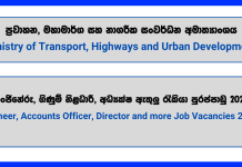 engineer-accounts-officer-procurement-specialist-director-ministry-of-transport-highways-and-urban-development