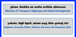 engineer-accounts-officer-procurement-specialist-director-ministry-of-transport-highways-and-urban-development