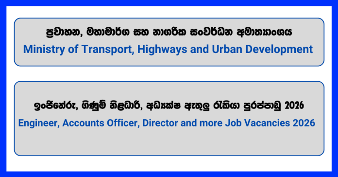 engineer-accounts-officer-procurement-specialist-director-ministry-of-transport-highways-and-urban-development